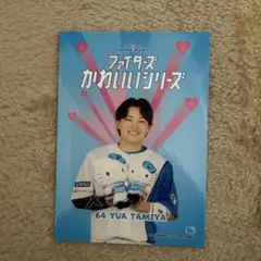 田宮裕涼 ファイターズ トレカ