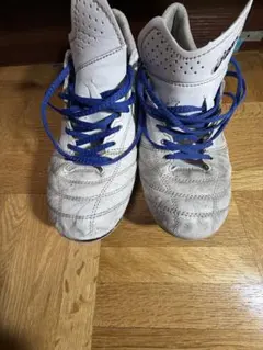 アシックスx fly 4のサムネイル