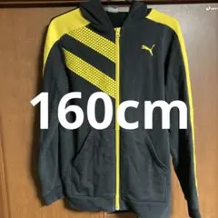 プーマ　スウェット　フルジップパーカー　ジャケット