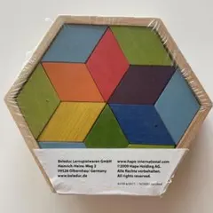 海外　木パズル