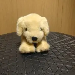ラブラドール　ぬいぐるみ