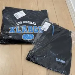 XLARGE エックスラージ セットアップ スエット 140