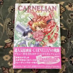 帯付き美品】カーネリアンコレクション ゲームワークス集 原画集