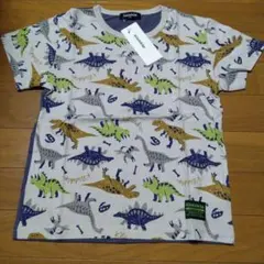 Item thumbnail for item 4b1d5bea-77bf-497e-a002-ecb8beb5191d