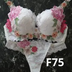 サルート 09グループ OCカラー F75/L/M サルート09シリーズ| 下着とルームウェアの専門ECサイト