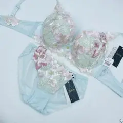 サルート89店舗限定ショーツ　LLサイズ　希少品KOカラー サルート89店舗限定ショーツ LLサイズ 希少品 (カラー:KO