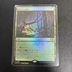 FOIL】草むした墓/Overgrown Tomb MTG日本語ショックランド - メルカリ