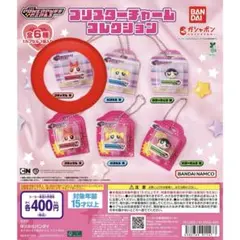 ブリスターチャームコレクション パワーパフガールズ