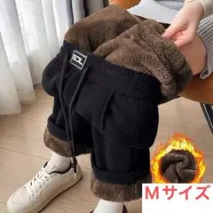 Item thumbnail for item 63a1350c-a7af-43ce-8c37-207b26c059f6