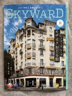 skyward 2025.11