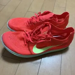 ナイキ ドラゴンフライ2 サイズ25cm 値下げ可能 - メルカリ