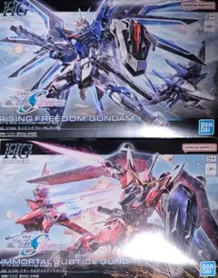 HG ライジングフリーダムガンダム・イモータルジャスティスガンダム
