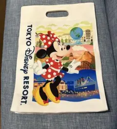 東京ディズニーリゾート バッグ ミッキー ミニー