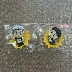 ハイキュー　赤葦京治、木兎光太郎　マグネット　梟谷　ぶちマス　２種セット