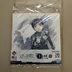 新世紀エヴァンゲリオン 色紙 碇シンジ - メルカリ