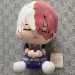 ヒロアカ 轟焦凍 ぬいぐるみ まとめ売り 轟焦凍 #ヒロアカ #僕のヒーローアカデミア #todoroki #shototodoroki