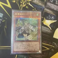2026年最新】風霊媒師ウィン 25thの人気アイテム - メルカリ