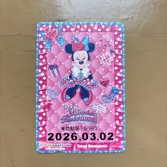 ミニーマウス　リゾラ　フリーきっぷ