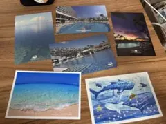 ポストカード　セット　新品