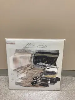 hokuto plums 2LPレコード中古