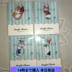 mofusand コンプリート アクリルチャーム4個セット