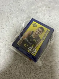 宇都宮ブレックス　ミニチュアアートイーゼル　42