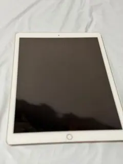ipad 第9世代 256gb
