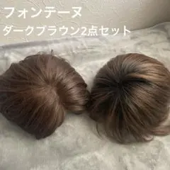 2026年最新】フォンテーヌ ウィッグ トップピースの人気アイテム
