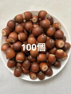 くぬぎ あべまき どんぐり 100個