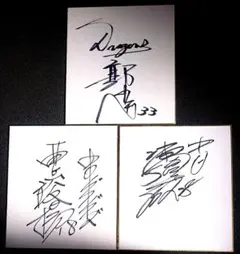 野球グローブ 郭源治のサイン入り 野球グローブ 郭源治のサイン入り 野球グローブ 郭源治のサイン