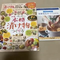 Item thumbnail for item de61b595-1965-4179-bba3-61c65632bb15