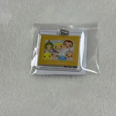 帰ってきためじるしチャーム！（ぷぅのむっちり詰め合わせver.）