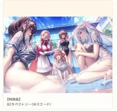 あざらしそふと アマカノ3 あみあみ特典B2Wスエードタペストリー/ピロ水