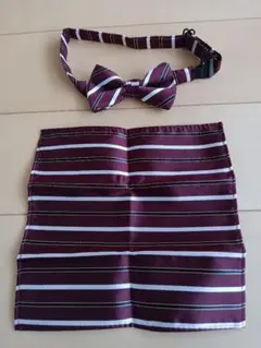 卒園・入学 ストライプ 蝶ネクタイとハンカチセット