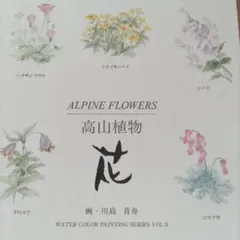 Item thumbnail for item 958d60bd-9703-471e-ae94-f1f1db66d2cb