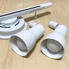 ダクトレール＆SwitchBot LED付スポットライト2個セット