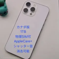 7月4日まで】Apple iPhone 17 Pro Max 1TB CA属 - メルカリ
