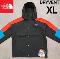 【大人気】 ノースフェイスマウンテンジャケットドライベントメンズXL