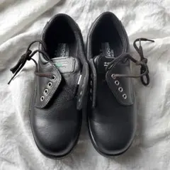 Item thumbnail for item b0bb3dee-a4f0-48a8-abfd-5dd50e028047