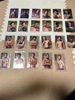 格闘技 RIZINウエハーストレーディングカードセット 20枚以上