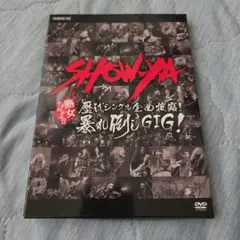 勝野洋、沖雅也、竹下景子、石橋正次出演／『姿三四郎』ミュージック