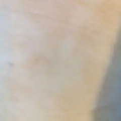 ベージュ Tシャツ