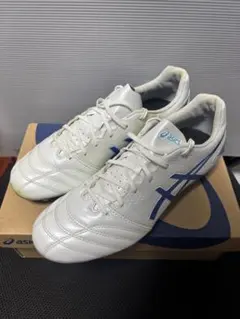 【ほぼ新品】asics DS LIGHT PRO NARROW 27.0cm