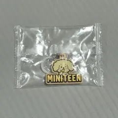Miniteen めじるしアクセサリー　ドギョム