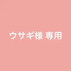 ウサギ様 リクエスト 3点 まとめ商品