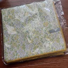 Item thumbnail for item 2aa8f2d8-e09d-4e09-bf2c-3eecdf573577