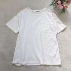 アーノルドパーマー 半袖カットソー トップス Tシャツ シンプル 定番 おすすめのサムネイル