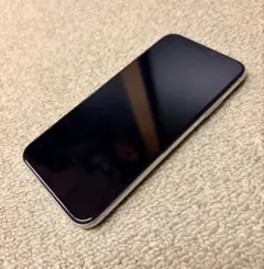 本体 スマートフォン本体