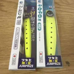 ジャンプライズ Shallow Light 130 半々チャート2個セット - メルカリ