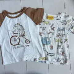 Item thumbnail for item 3f76d396-4a4c-4663-8c27-b2ce2d9ed58f